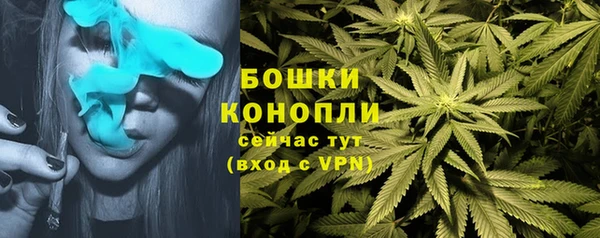 ECSTASY Сатка