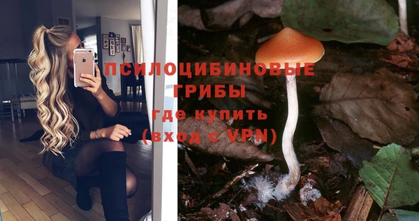 твердый Сафоново