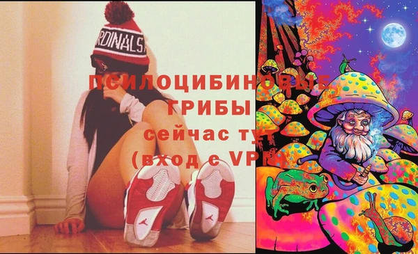 ECSTASY Сатка